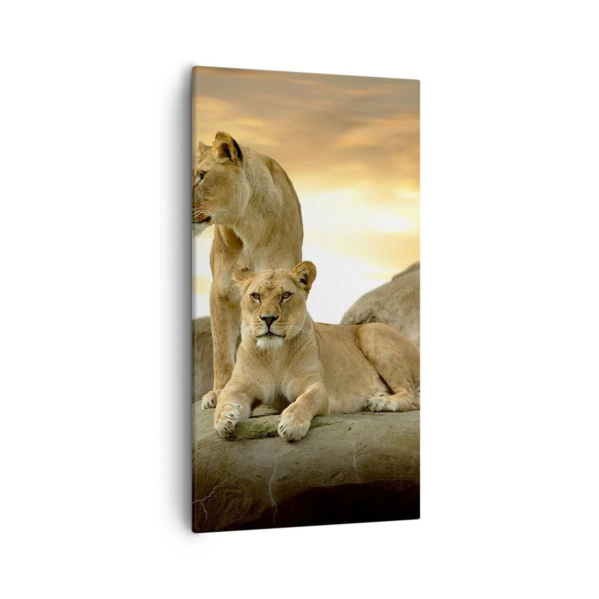 Bild auf Leinwand - Leinwandbild - Königliche Majestät - 55x100 cm