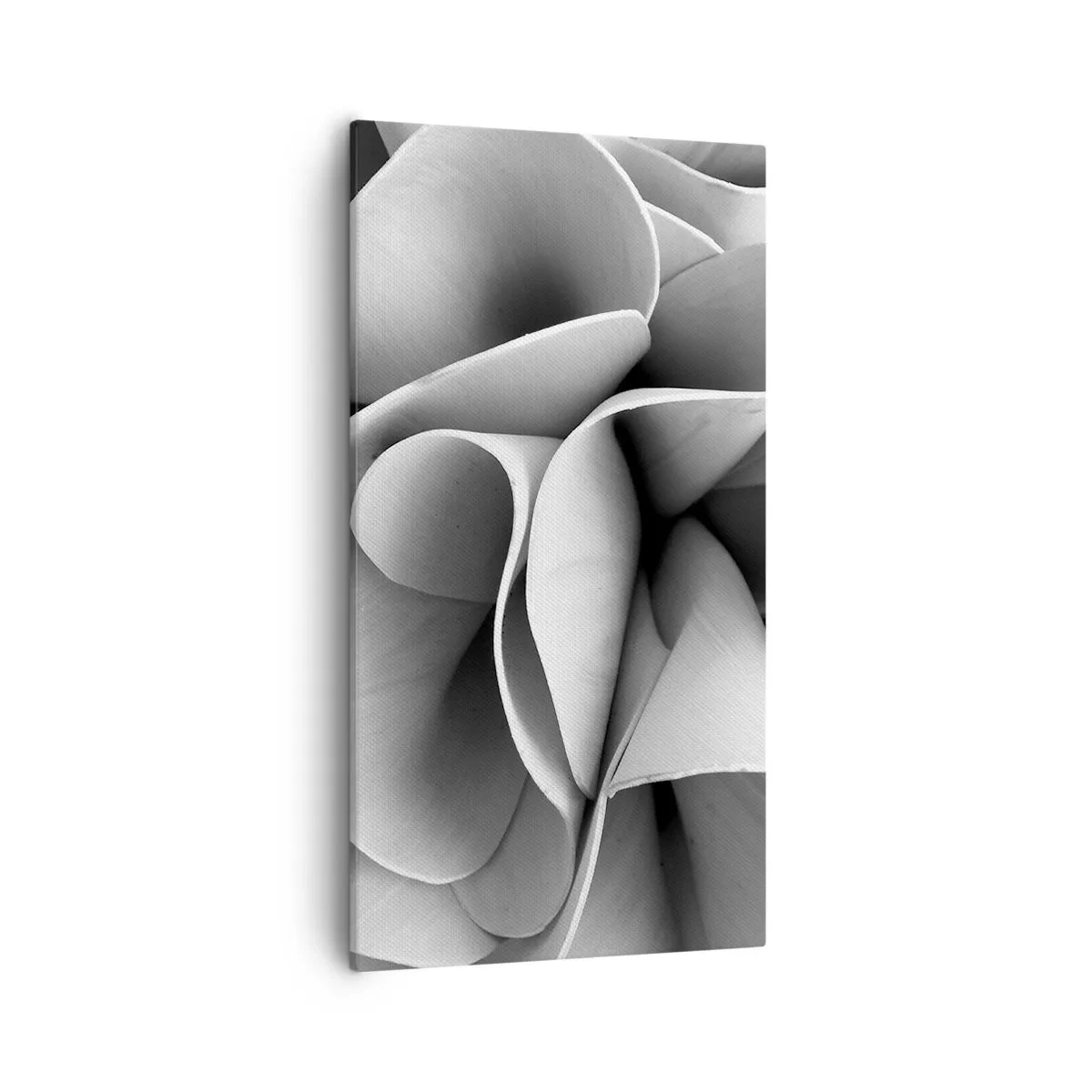 Bild auf Leinwand - Leinwandbild - Es passiert im Weltraum - 55x100 cm
