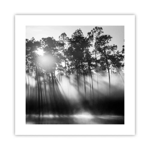 Poster - Unaufhaltsame Sonne - 40x40 cm