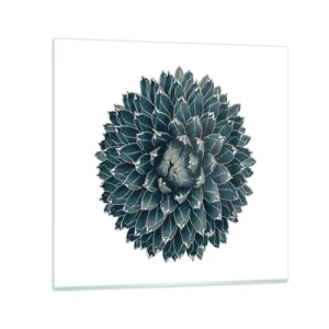 Glasbild - Bild auf glas - Stern der Wüste - 60x60 cm