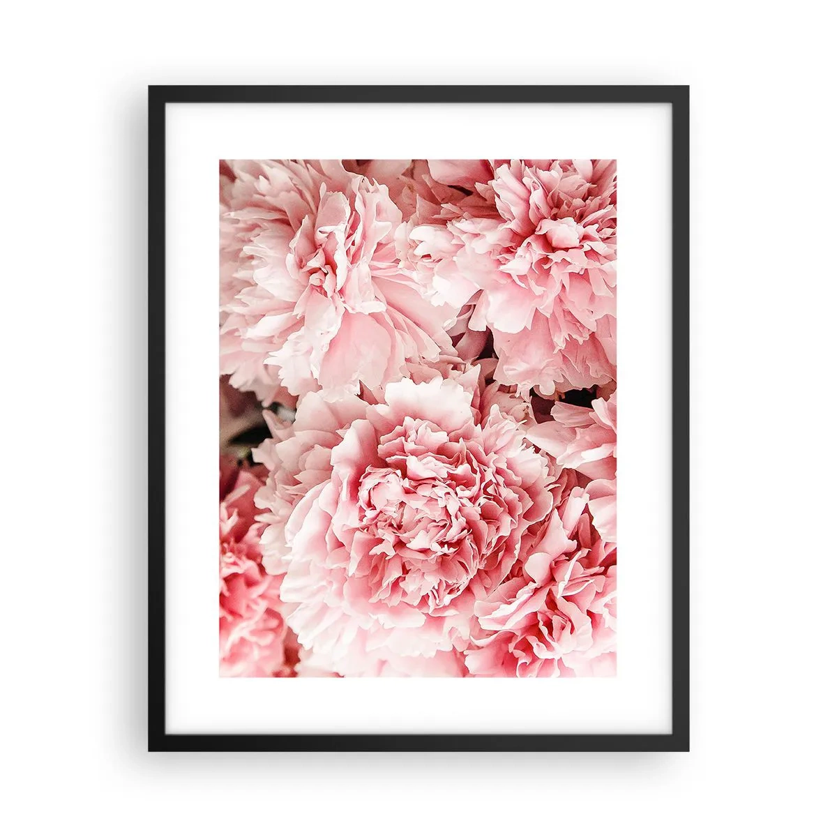 Poster in einem schwarzem Rahmen - Rosa Traum - 40x50 cm