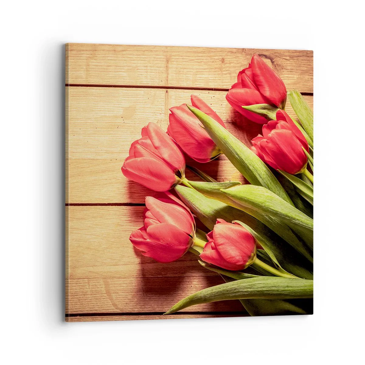 Bild auf Leinwand - Leinwandbild - Frühlingsgeständnis - 70x70 cm