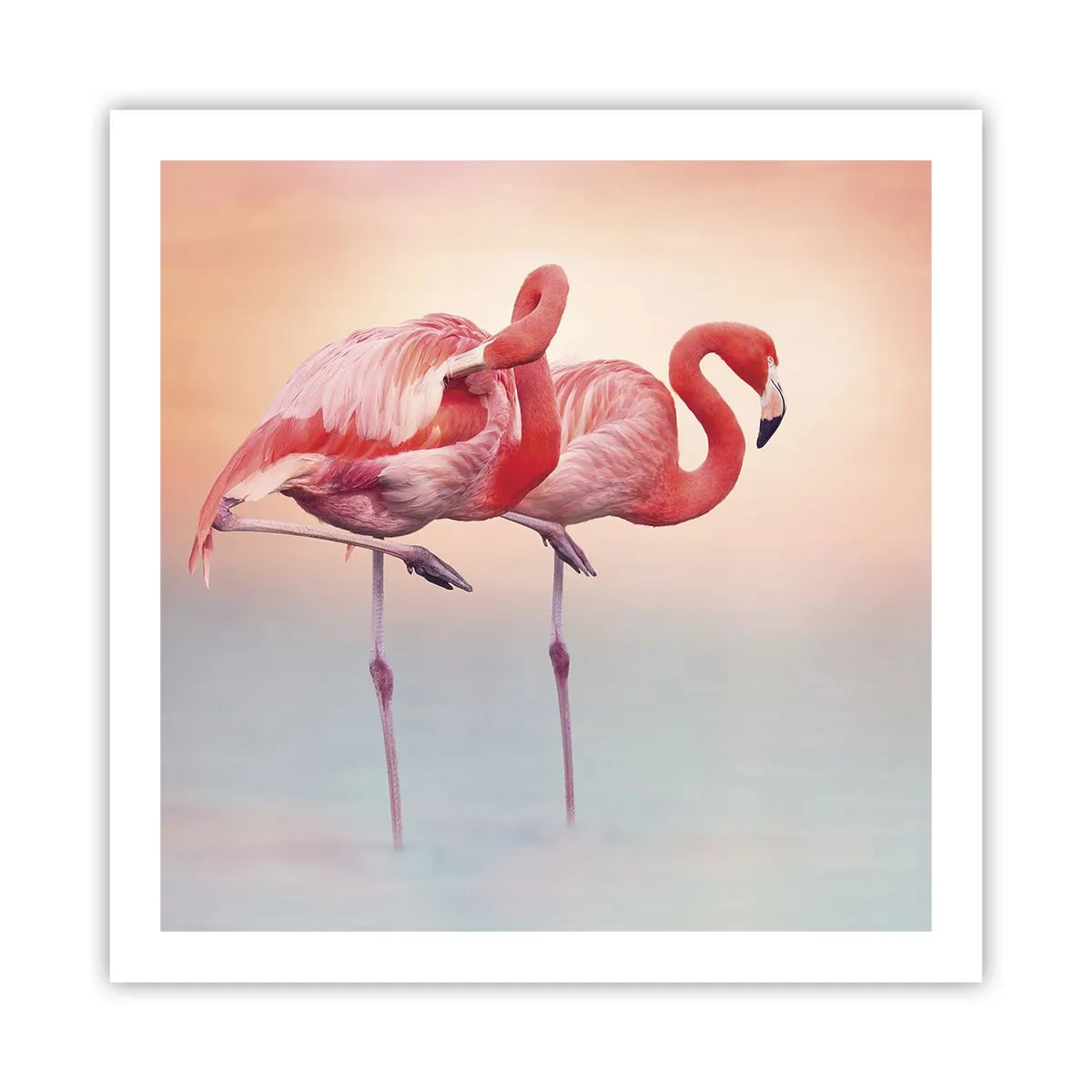 Poster - Die Farbe der untergehenden Sonne - 60x60 cm