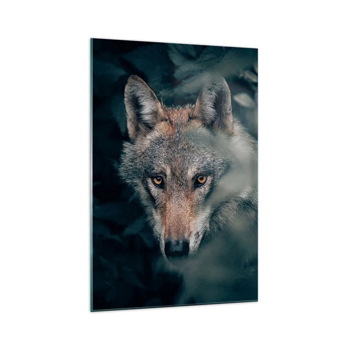 Glasbild - Bild auf glas - Ein Wolf in seiner natürlichen Umgebung, der aus den Tiefen des Waldes hervorschaut. - 70x100cm - Jäger - Moderne Wanddekoration für Wohnzimmer und Schlafzimmer ARTTOR