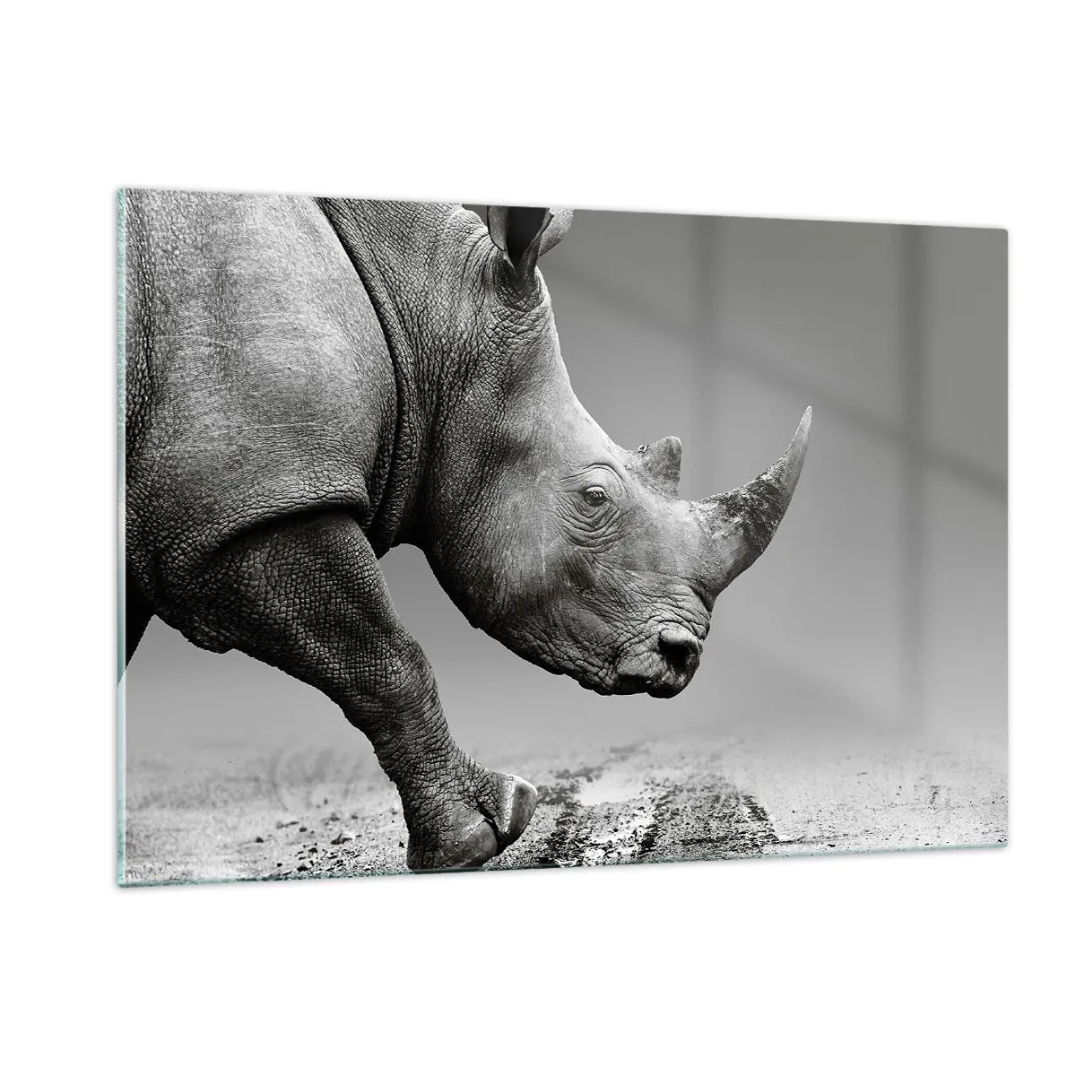 Glasbild - Bild auf glas - Ein Nashorn in Bewegung vor grauem Hintergrund - 120x80cm - Unaufhaltsame Stärke - Moderne Wanddekoration für Wohnzimmer und Schlafzimmer ARTTOR