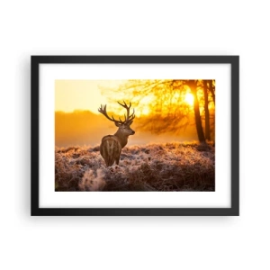 Poster in einem schwarzem Rahmen - König des Herbstwaldes - 40x30 cm