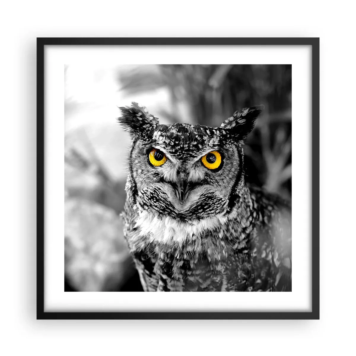 Poster in einem schwarzem Rahmen - Nichts wird sich verstecken - 50x50 cm