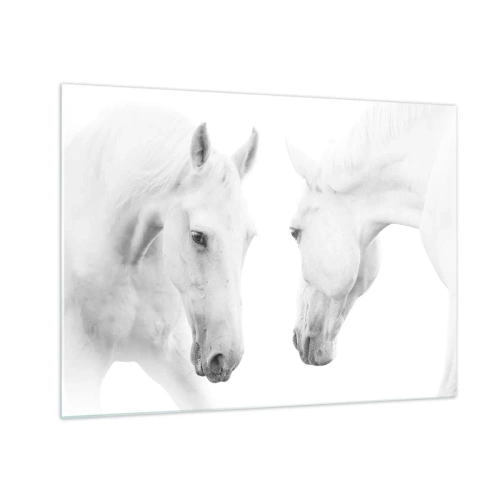 Glasbild - Bild auf glas - Zwei weiße Pferde stehen sich vor einem hellen Hintergrund gegenüber - 70x50cm - Ist das Freundschaft...? - Moderne Wanddekoration für Wohnzimmer und Schlafzimmer ARTTOR