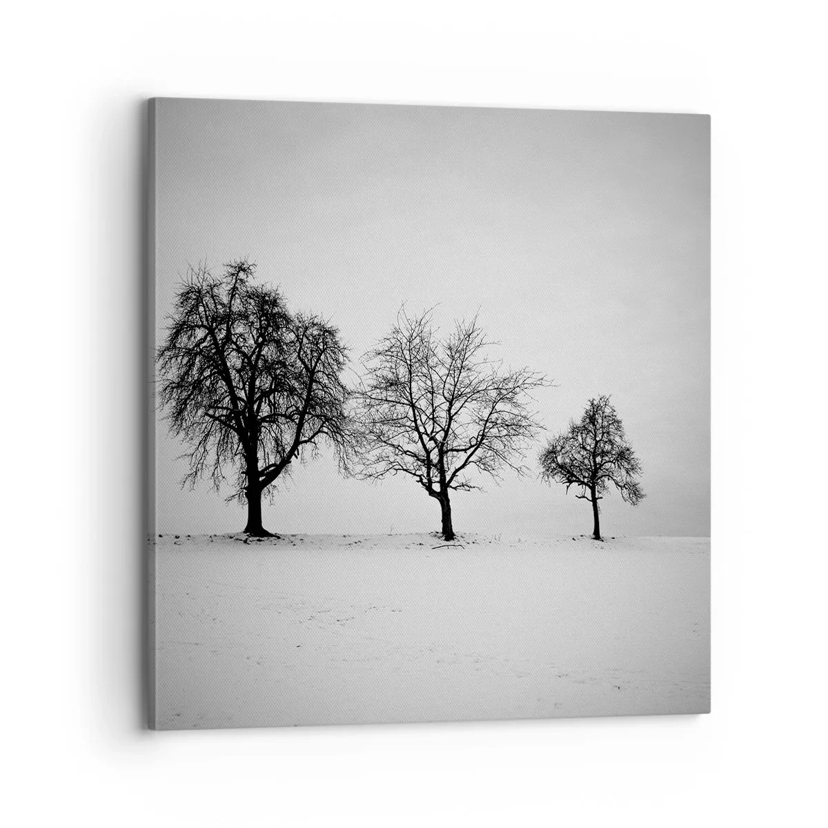 Bild auf Leinwand - Leinwandbild - Wovon träumen sie? - 70x70 cm
