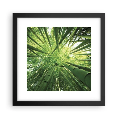 Poster in einem schwarzem Rahmen - In einem Bambushain - 30x30 cm