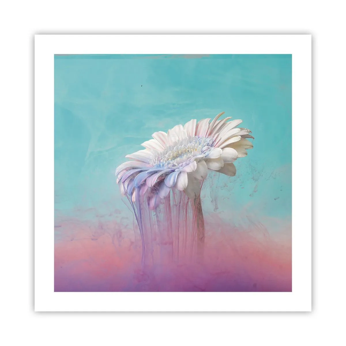 Poster - Blumenunterwelt - 50x50 cm