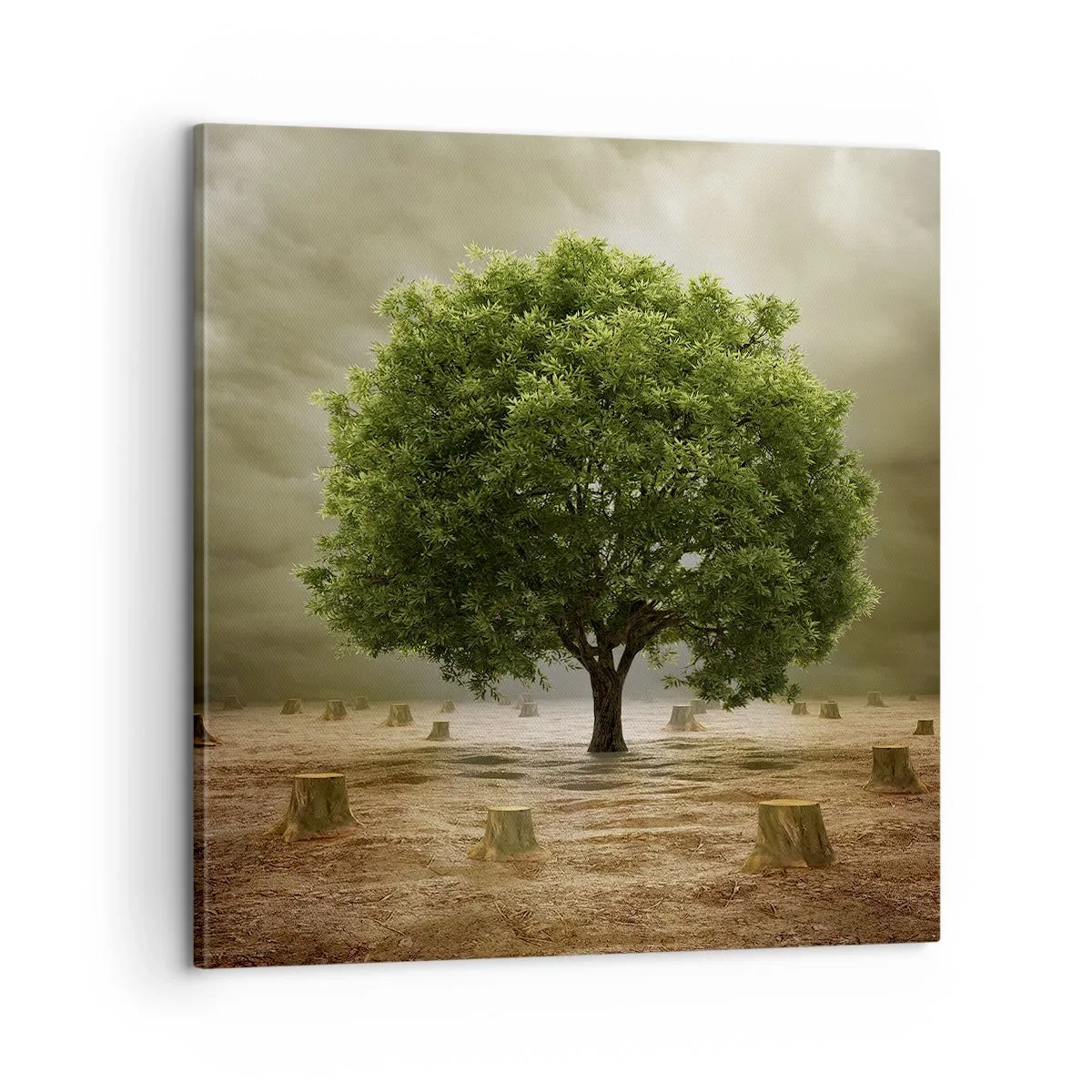 Bild auf Leinwand - Leinwandbild - Alle Hoffnung - 60x60 cm