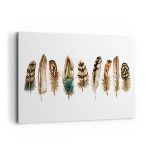 Bild auf Leinwand - Leinwandbild - Dekoratives Motiv einer Sammlung verschiedener Federn - 120x80cm - Eine federleichte Variante - Moderne Wanddekoration für Wohnzimmer und Schlafzimmer ARTTOR
