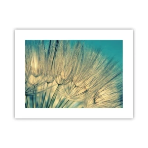 Poster - In Erwartung des Windes - 40x30 cm
