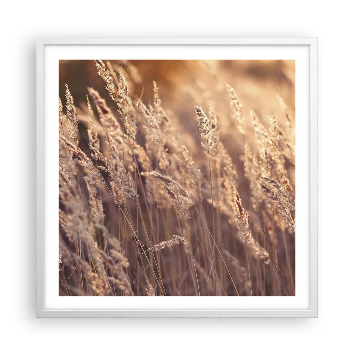 Poster in einem weißen Rahmen - Bereit, den Herbst willkommen zu heißen - 60x60 cm