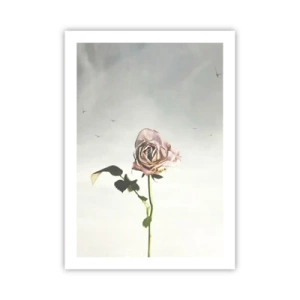 Poster - Eine zarte Rose vor einem zarten Himmel - 50x70cm - Begrüßung des Frühlings - Moderne Wanddekoration für Wohnzimmer und Schlafzimmer ARTTOR