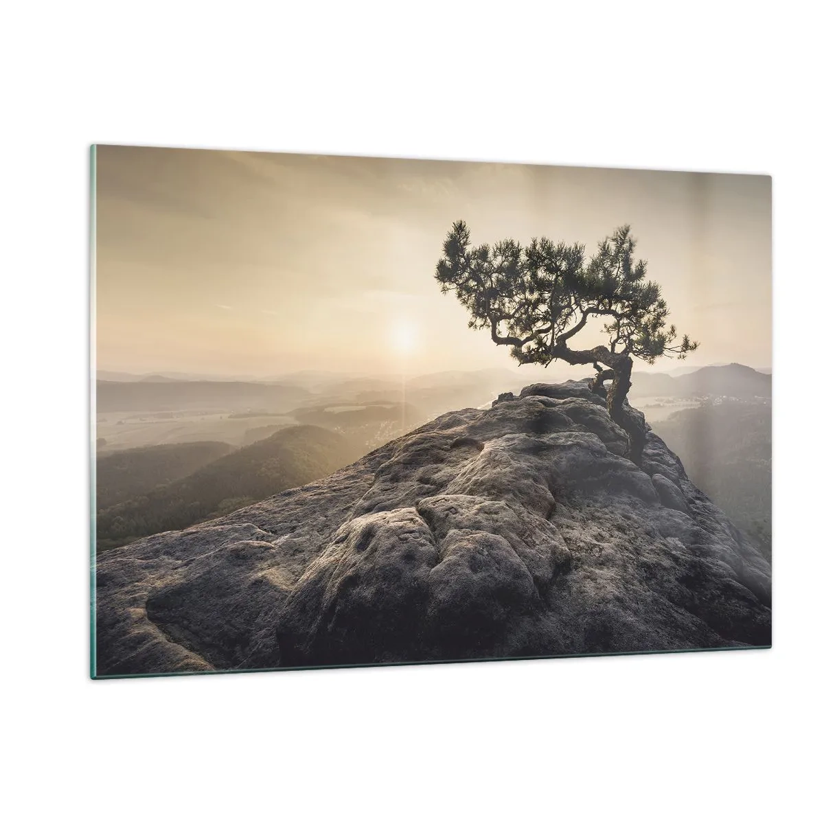 Glasbild - Bild auf glas - Ein Baum auf einem Felsen im Licht der aufgehenden Sonne - 120x80cm - Das Leben gewinnt immer - Moderne Wanddekoration für Wohnzimmer und Schlafzimmer ARTTOR