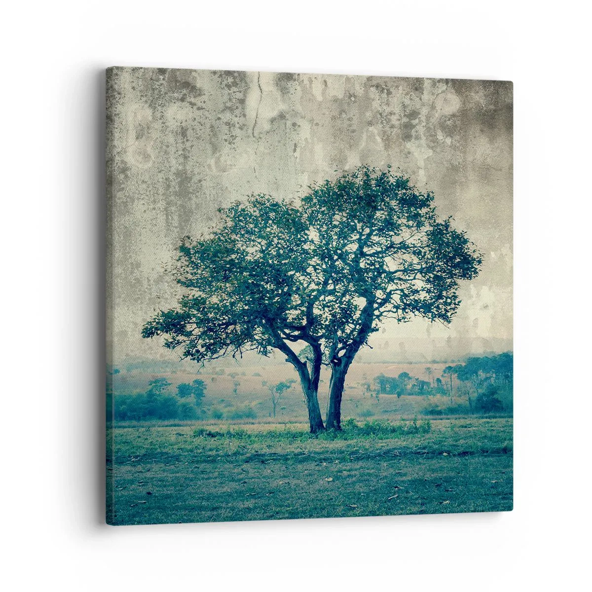 Bild auf Leinwand - Leinwandbild - Ein Apfelbaum auf blauem Feld? - 40x40 cm