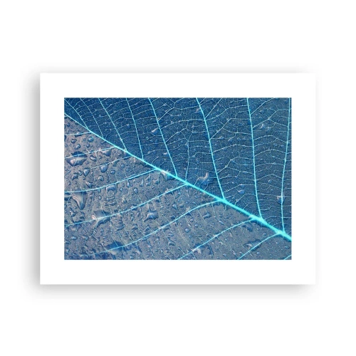 Poster - Leben in Blau - 40x30 cm
