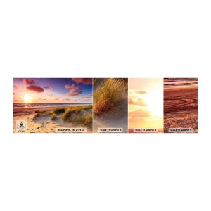 Fototapetenmuster Standard Eco - Die Luft riecht schon im Sommer - Landschaft, Strand, Düne - 100x30 cm