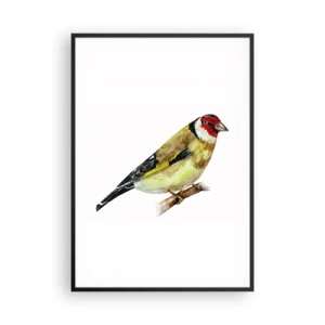 Poster in einem schwarzem Rahmen - Vogelporträt - 70x100 cm