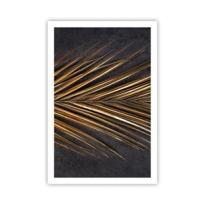 Poster - Das Gold der Tropen - 61x91 cm