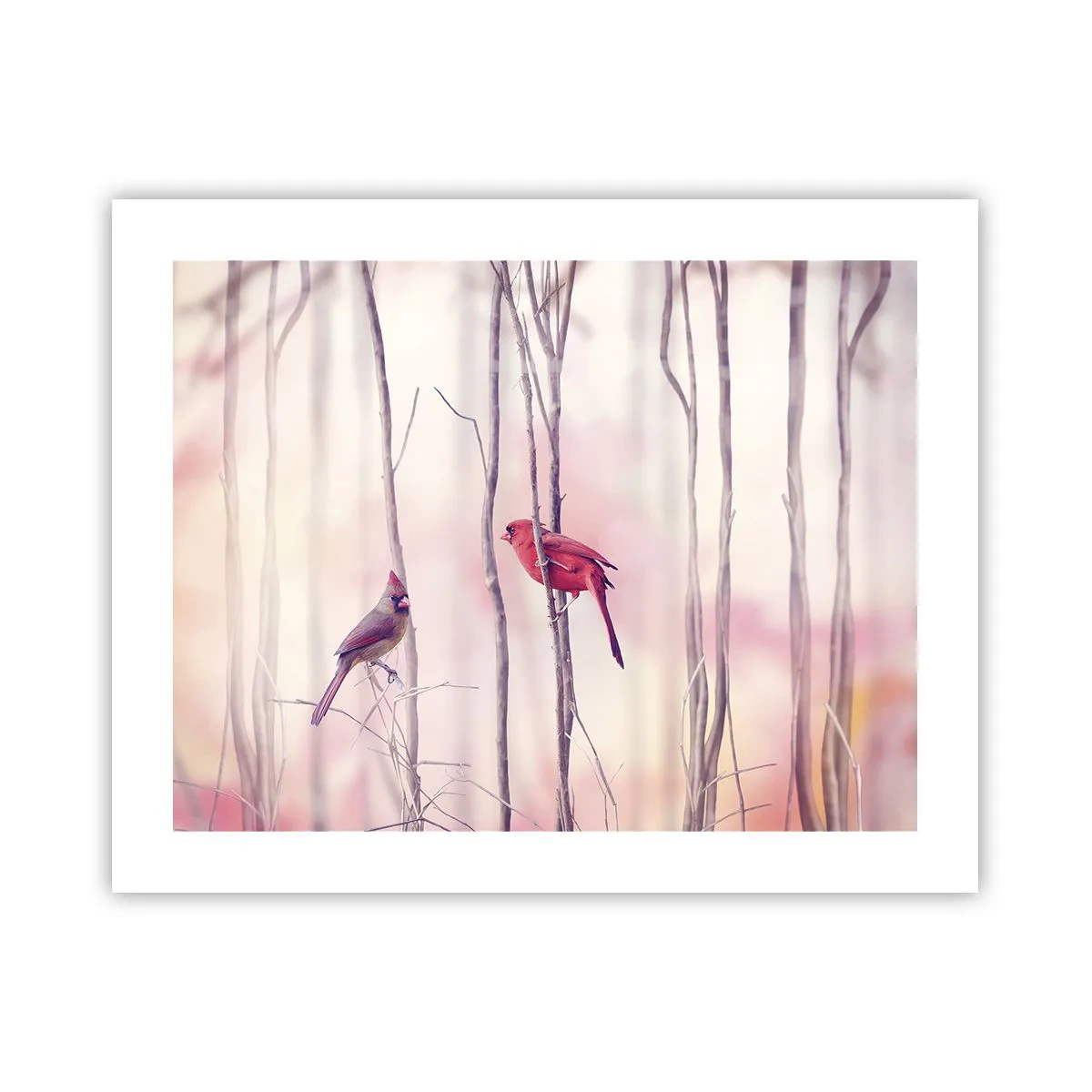 Poster - Geschichte vom rosa Wald - 50x40 cm