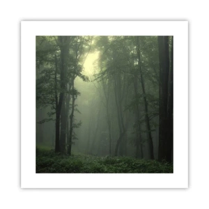 Poster - Bevor er aufwacht - 40x40 cm