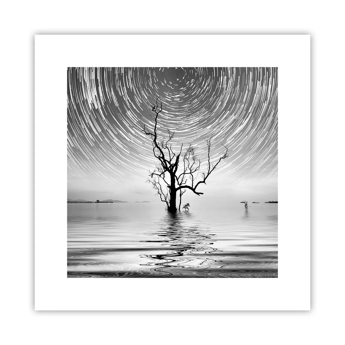 Poster - Eine Sinfonie der Natur - 30x30 cm