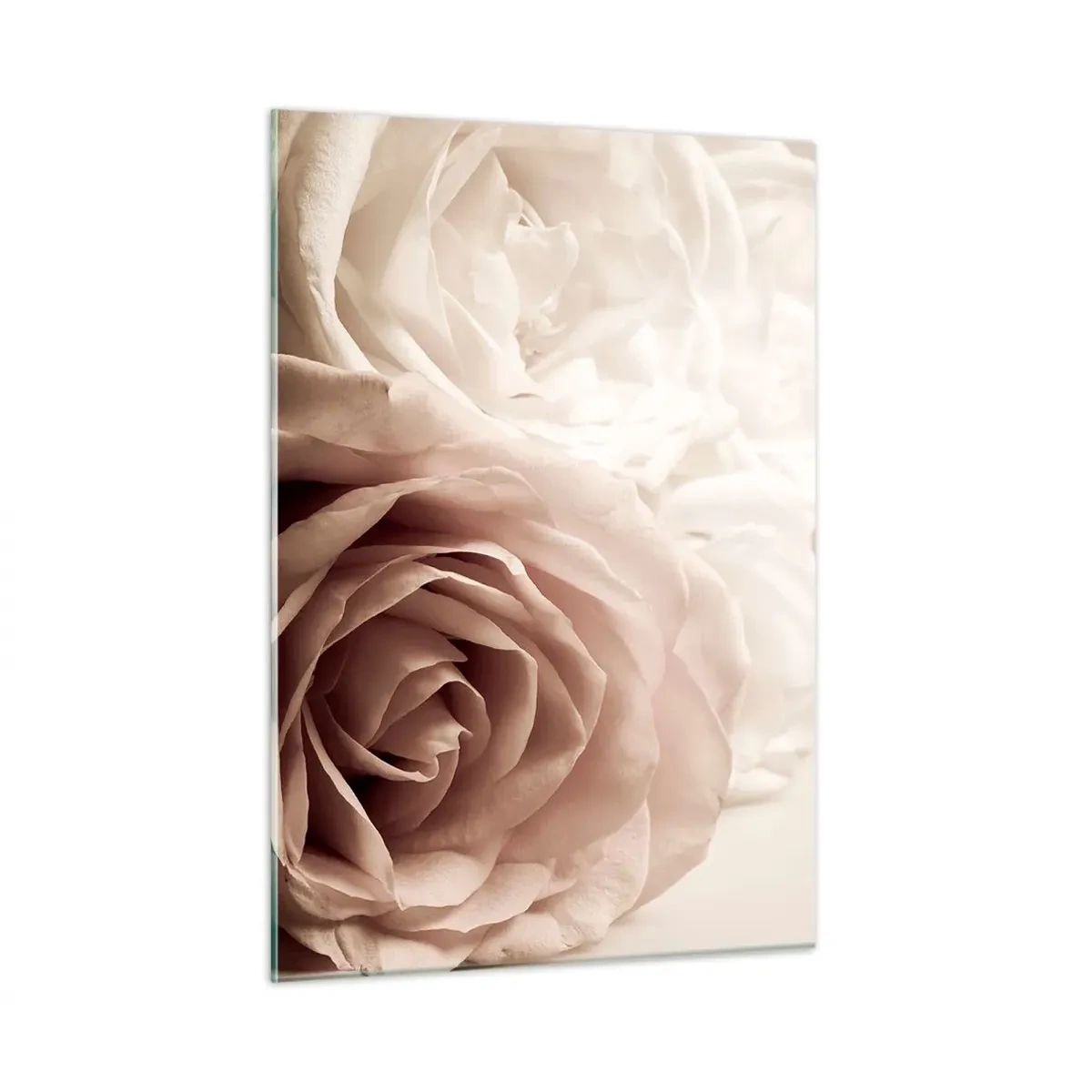 Glasbild - Bild auf glas - Zarte helle Rosen in romantischer Nahaufnahme - 50x70cm - Im Herzen der Rose - Moderne Wanddekoration für Wohnzimmer und Schlafzimmer ARTTOR