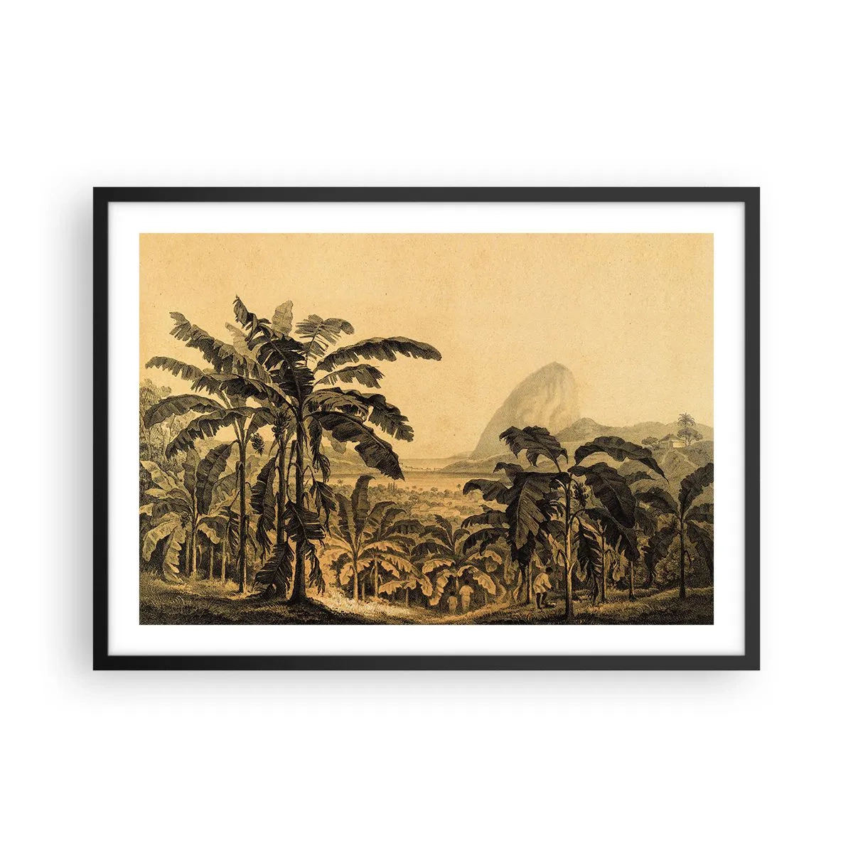 Poster in einem schwarzem Rahmen - Zeichnung von Bananenbäumen vor dem Hintergrund einer tropischen Landschaft - 70x50cm - in einem kolonialen Klima - Moderne Wanddekoration für Wohnzimmer und Schlafzimmer ARTTOR