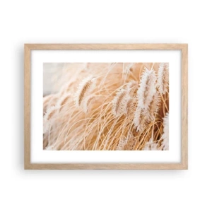 Poster in einem Rahmen aus heller Eiche - Das goldene Rauschen des Grases - 40x30 cm
