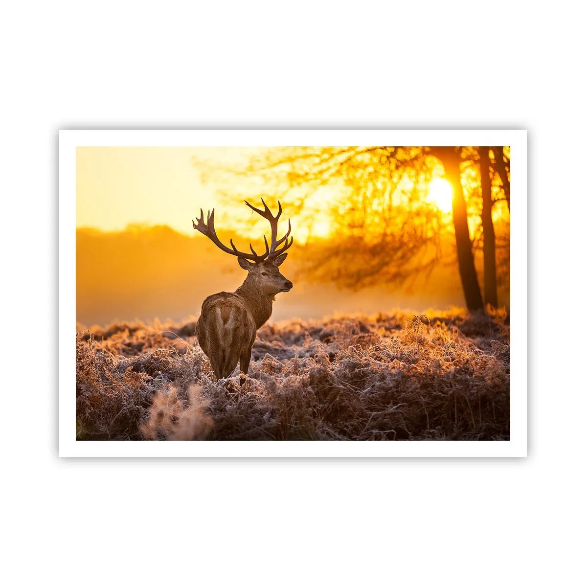 Poster - Ein Hirsch vor dem Hintergrund eines herbstlichen Waldes, der von der goldenen Sonne beleuchtet wird - 100x70cm - König des Herbstwaldes - Moderne Wanddekoration für Wohnzimmer und Schlafzimmer ARTTOR