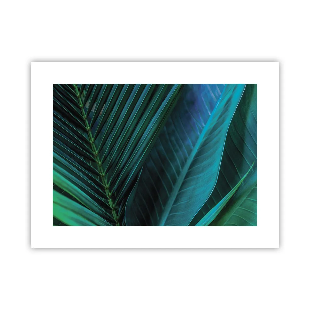 Poster - Die Anatomie des Grüns - 40x30 cm