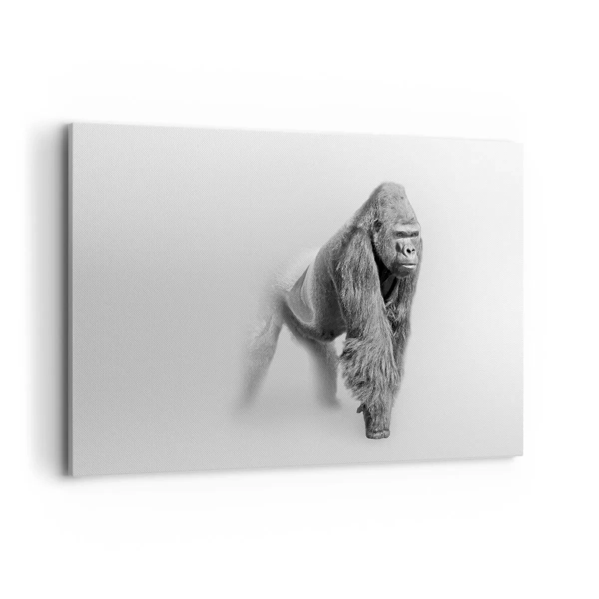 Bild auf Leinwand - Leinwandbild - Gorilla in monochromen Tönen auf weißem Hintergrund - 120x80cm - Zuversichtlich in seiner Stärke - Moderne Wanddekoration für Wohnzimmer und Schlafzimmer ARTTOR