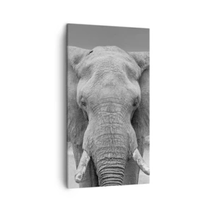 Bild auf Leinwand - Leinwandbild - Willkommen in meiner Welt - 45x80 cm