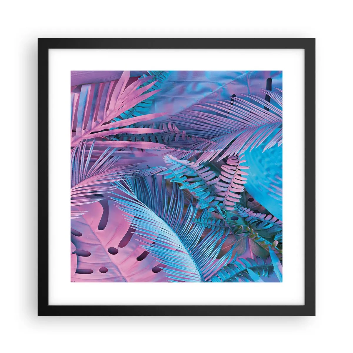 Poster in einem schwarzem Rahmen - Tropen in Rosa und Blau - 40x40 cm