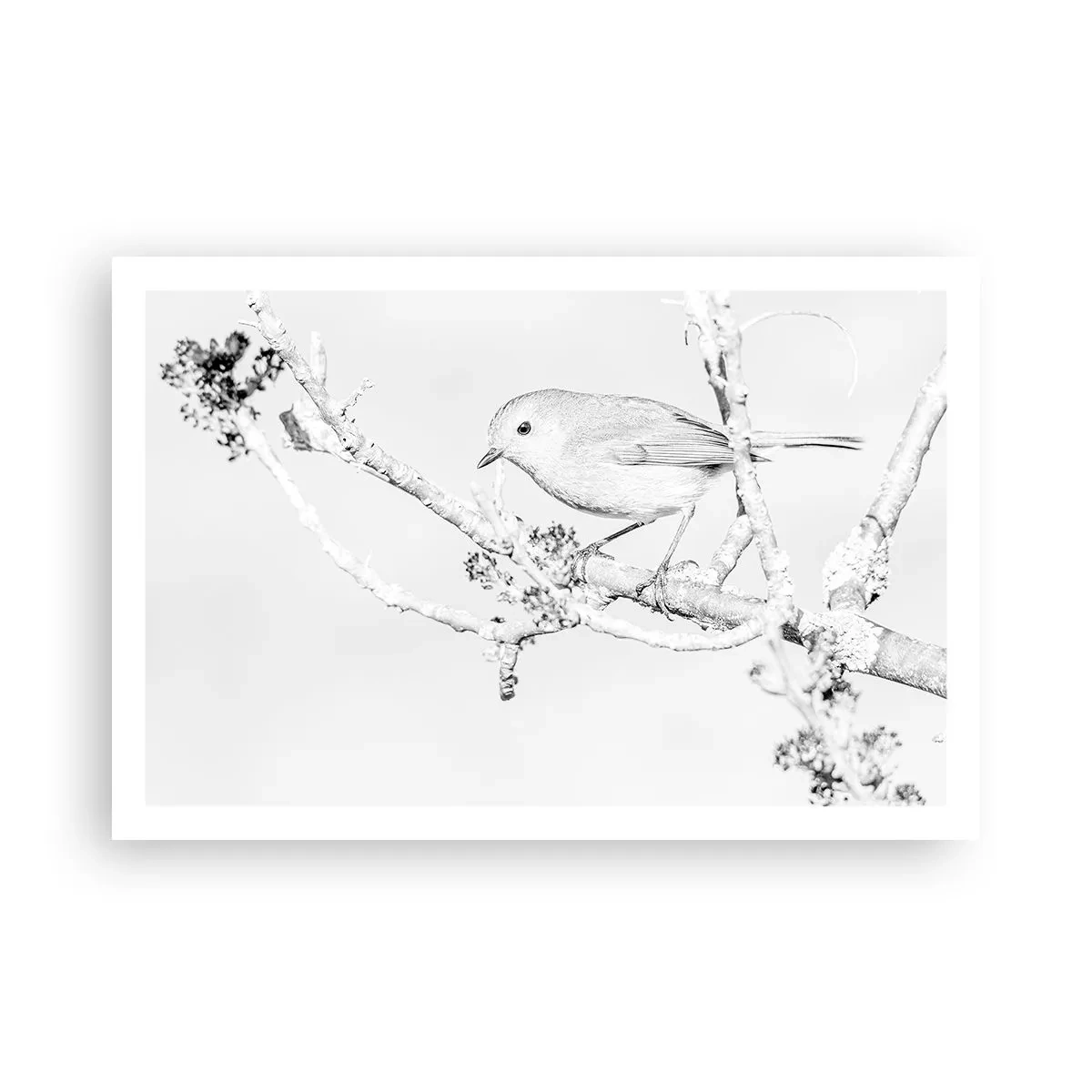 Poster - Wintermorgen - 91x61 cm