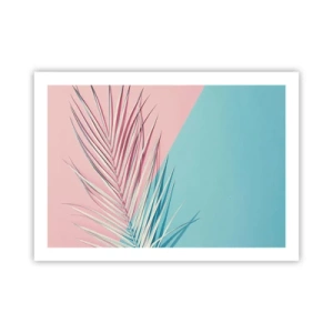 Poster - Tropischer Eindruck - 70x50 cm