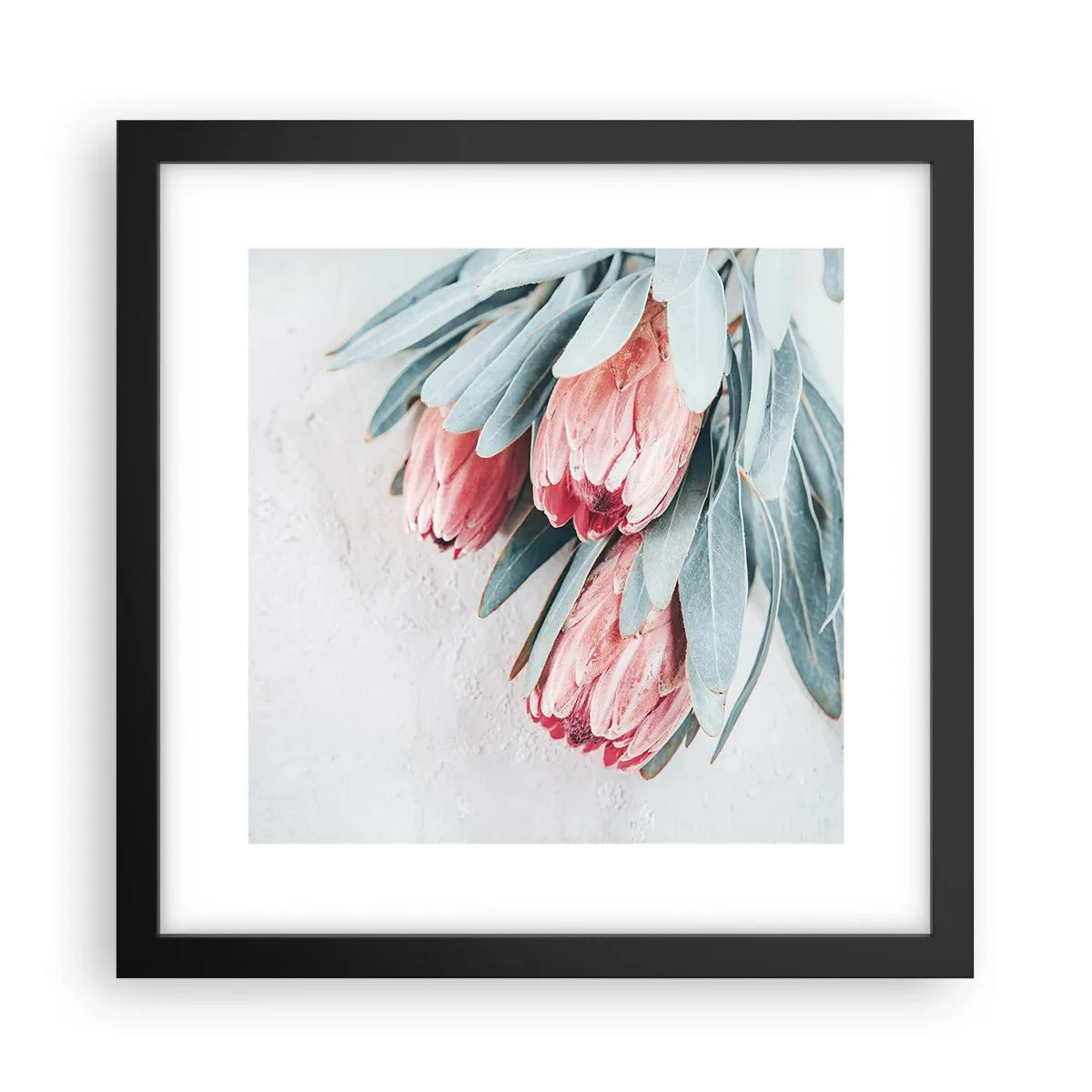 Poster in einem schwarzem Rahmen - Schämen sich für ihre eigene Schönheit - 30x30 cm
