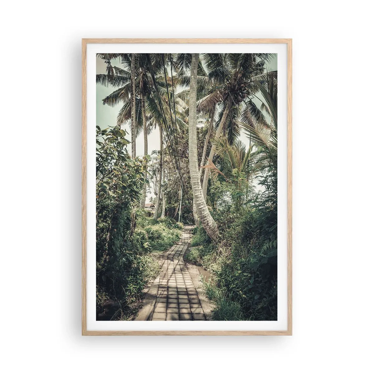 Poster in einem Rahmen aus heller Eiche - Palmenallee - 70x100 cm
