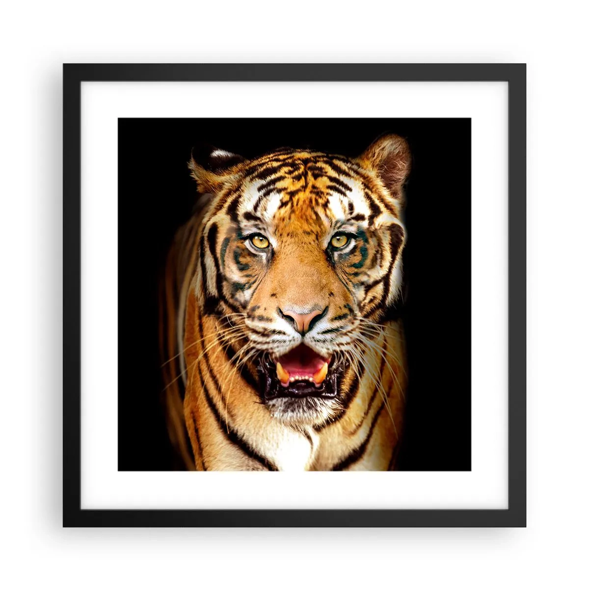 Poster in einem schwarzem Rahmen - Wild im Herzen - 40x40 cm