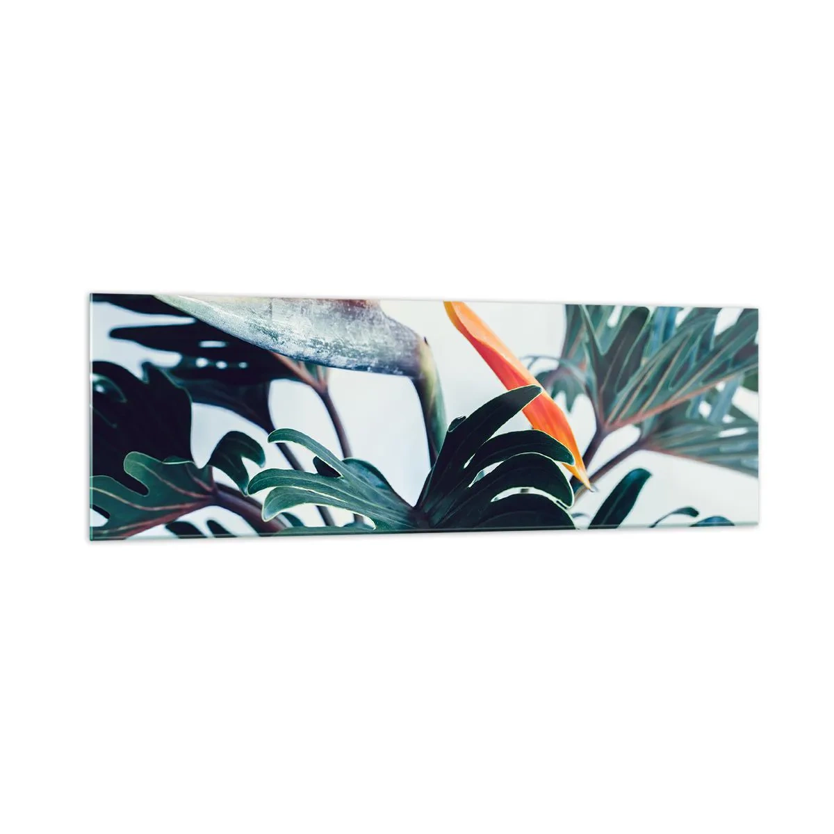 Glasbild - Bild auf glas - Strelitzia-Blüte, umgeben von Blättern in hellem Licht - 160x50cm - Vogelbusch - Moderne Wanddekoration für Wohnzimmer und Schlafzimmer ARTTOR