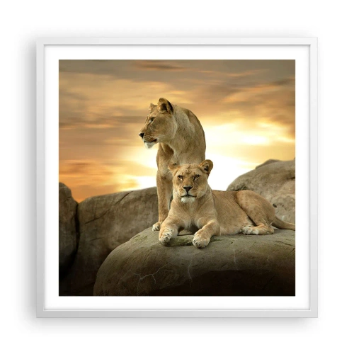 Poster in einem weißen Rahmen - Königliche Majestät - 60x60 cm