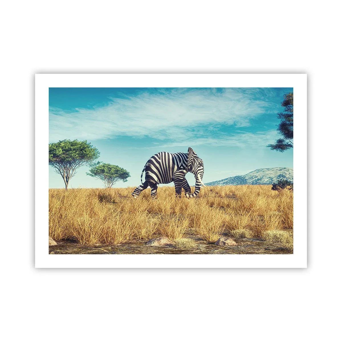 Poster - Grau ist nicht mehr in Mode - 70x50 cm