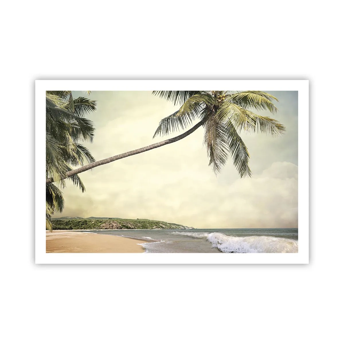 Poster - Tropischer Traum - 91x61 cm