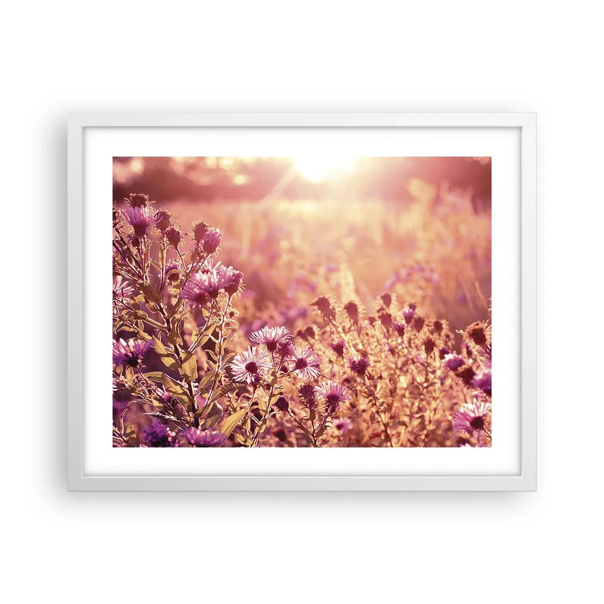 Poster in einem weißen Rahmen - Bevor der Sommer vorbei ist - 50x40 cm