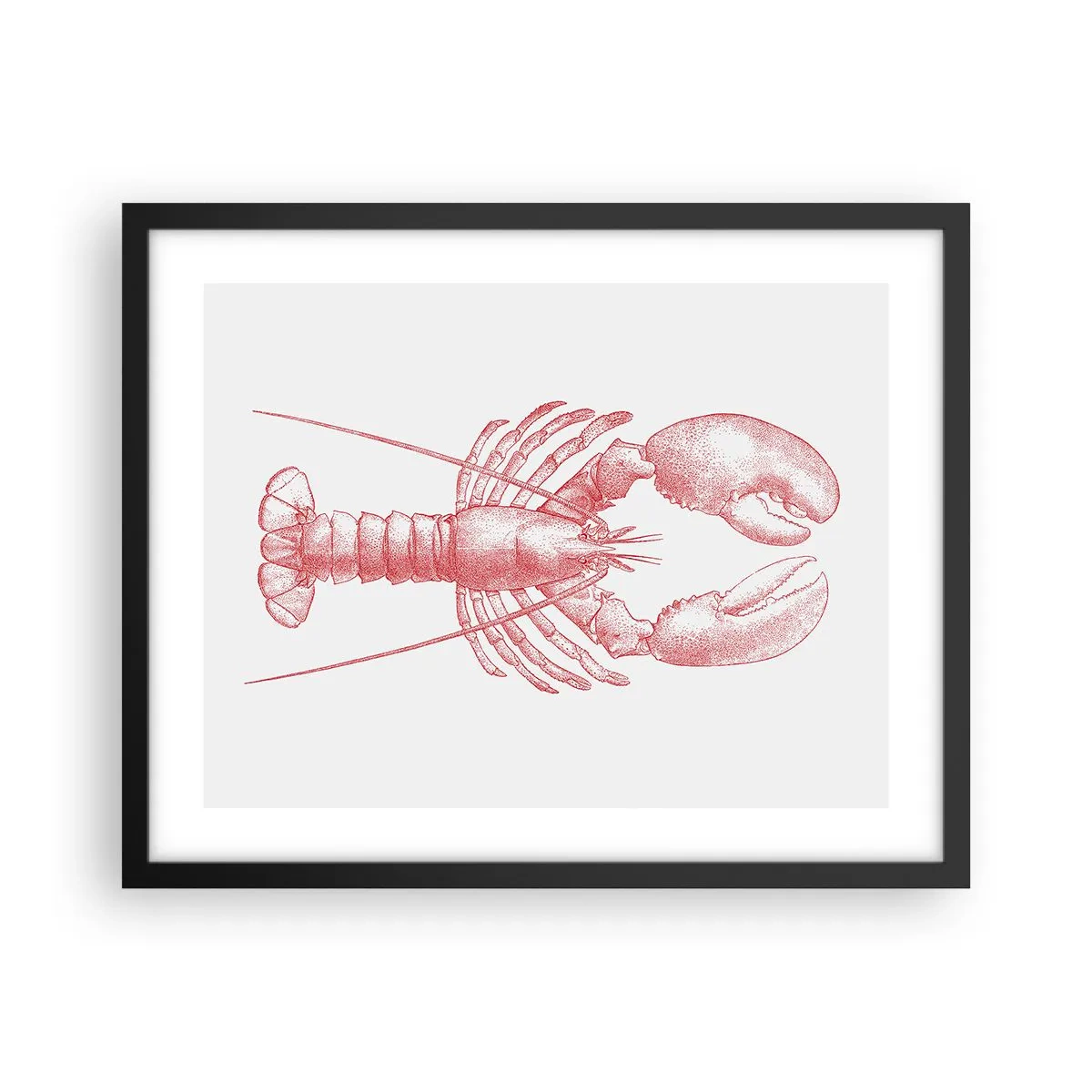 Poster in einem schwarzem Rahmen - Hummer, der Homers würdig ist - 50x40 cm
