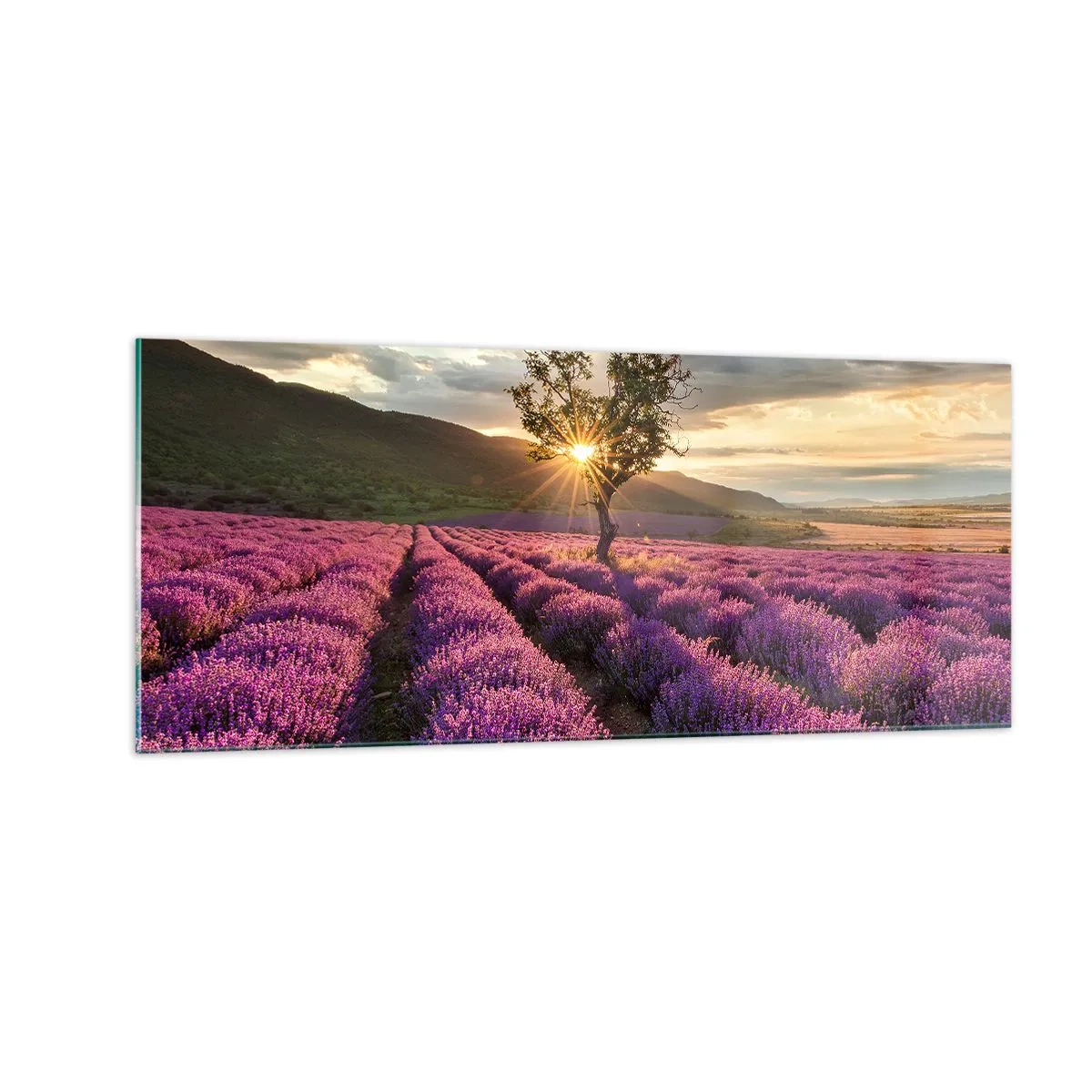 Glasbild - Bild auf glas - Fliederfarbenes Aroma - 100x40 cm
