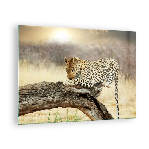 Glasbild - Bild auf glas - Ein Leopard ruht auf einem Holzast - 70x50cm - Ich gehe meine eigenen Wege - Moderne Wanddekoration für Wohnzimmer und Schlafzimmer ARTTOR